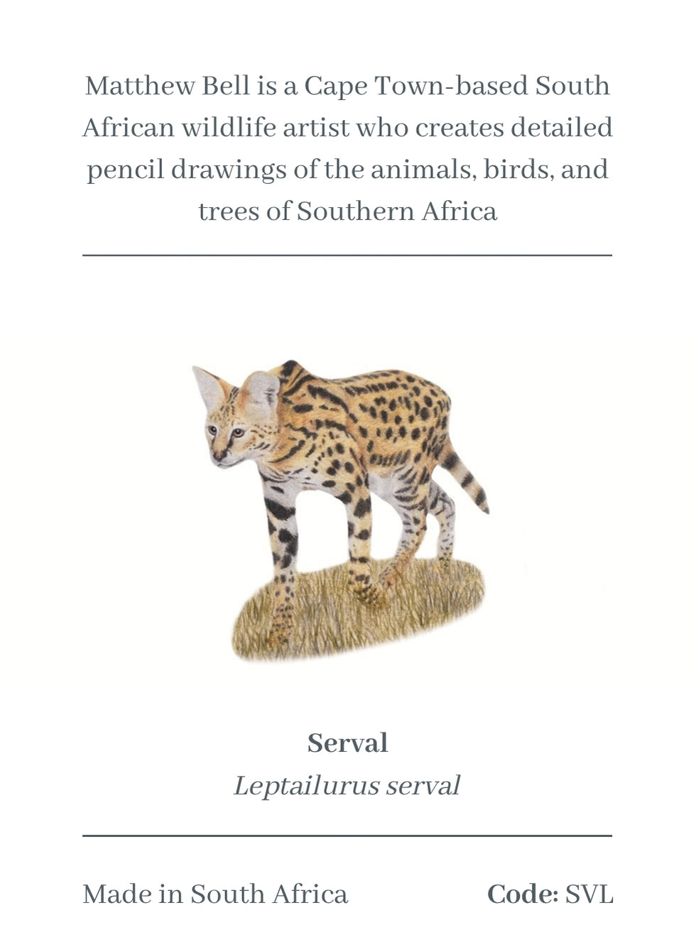 Serval Magnet - SVL