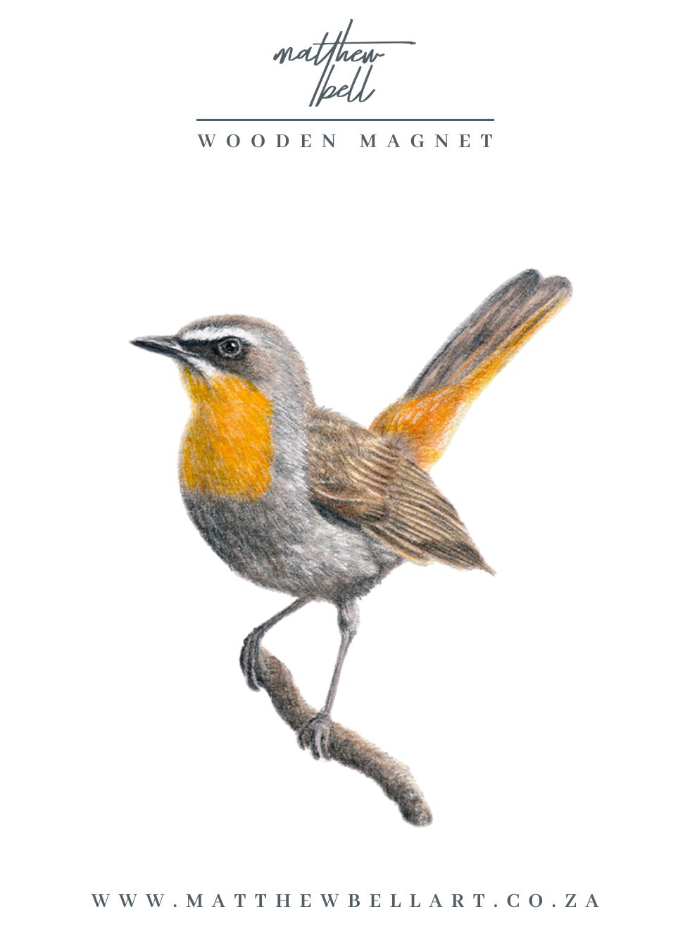 Cape Robin Chat Magnet - CRT