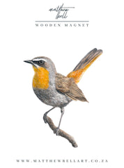 Cape Robin Chat Magnet - CRT