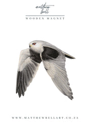 Black Shouldered Kite Magnet - BSK