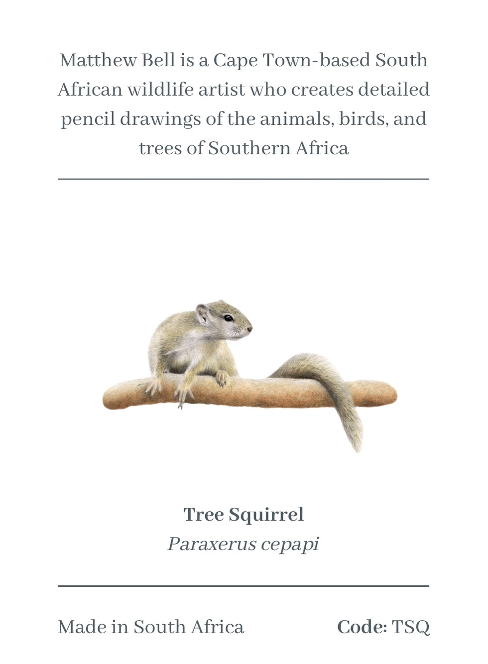 Tree Squirrel Magnet - TSQ