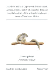 Tree Squirrel Magnet - TSQ