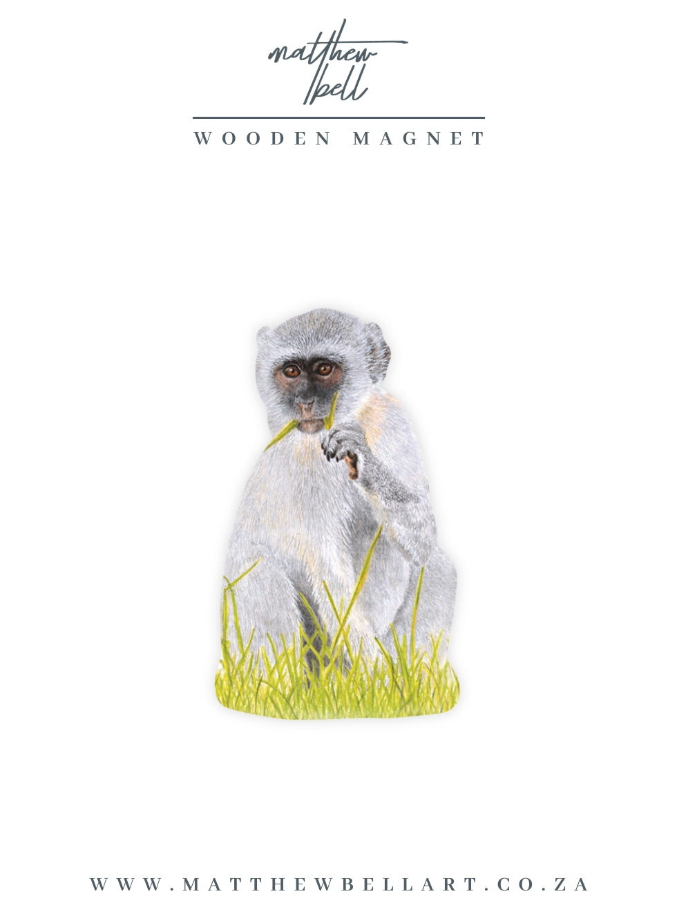 Vervet Monkey Magnet - VM