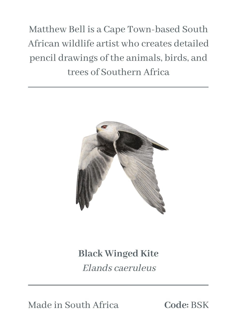 Black Shouldered Kite Magnet - BSK