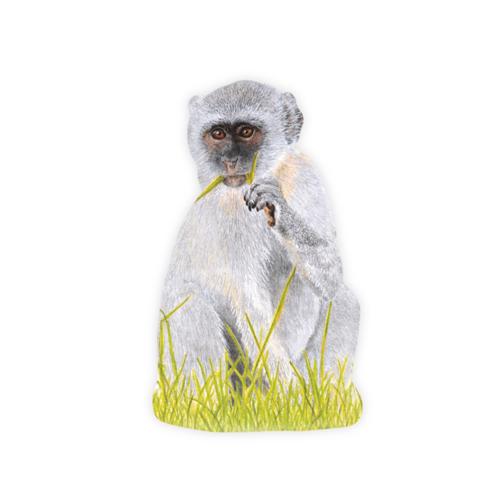 39_afd0adbb-9406-40dd-956b-884cfc9e18b3.png