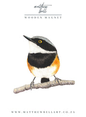 Cape Batis Magnet - CBT