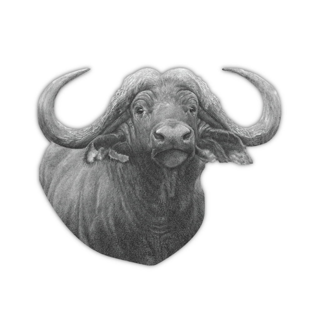 3_ba29b47c-f570-45b0-8400-07a53a84fd8e.png