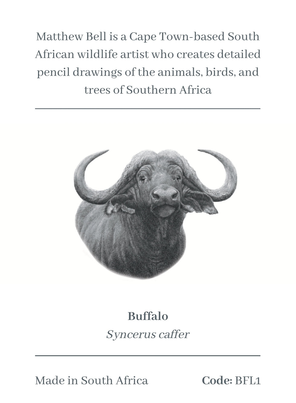 Buffalo Magnet - BFL1
