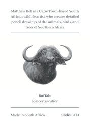 Buffalo Magnet - BFL1