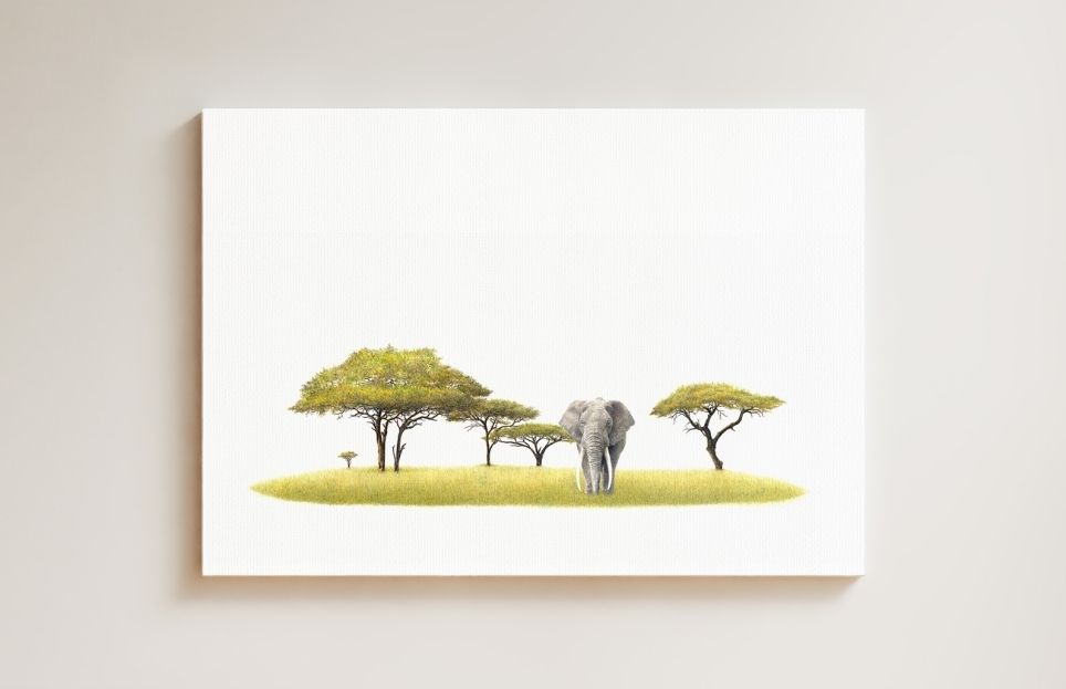 Acacia Tree and Bull Elephant drawing on canvas by South African wildlife artist Matthew Bell