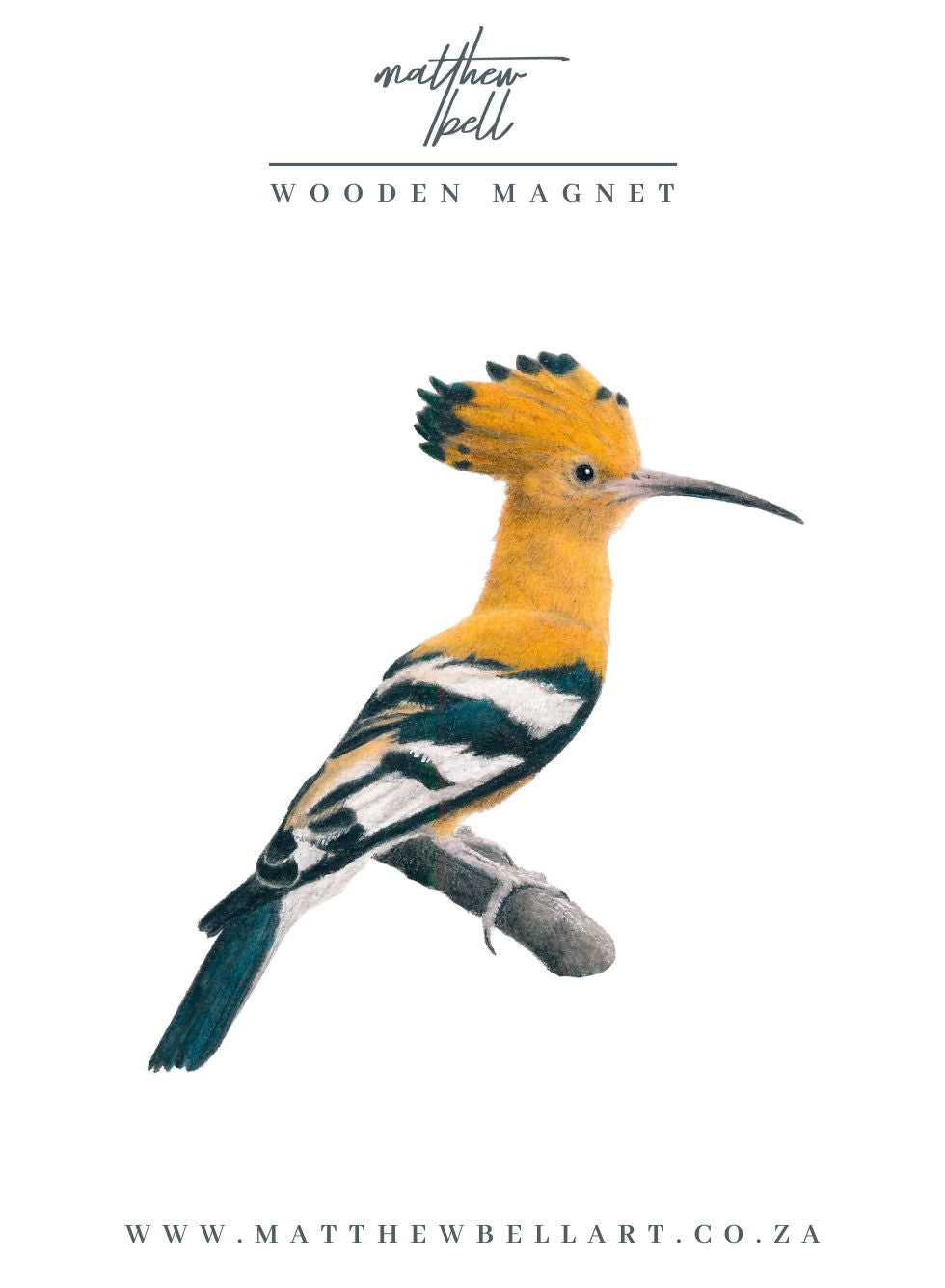 African Hoopoe Magnet - HP2