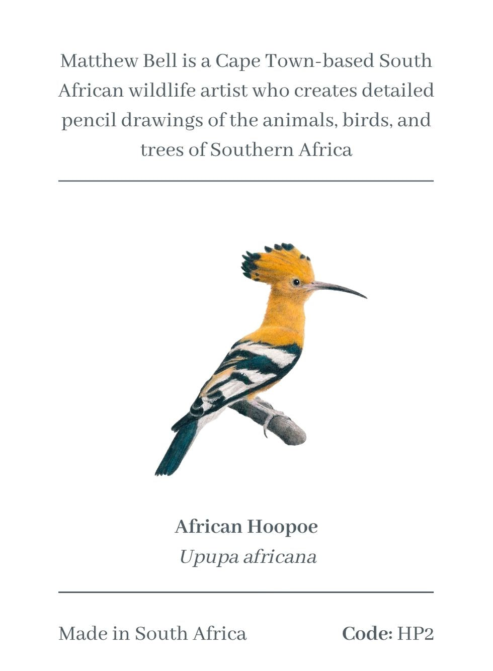 African Hoopoe Magnet - HP2