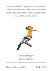 African Hoopoe Magnet - HP2