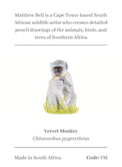 Vervet Monkey Magnet - VM