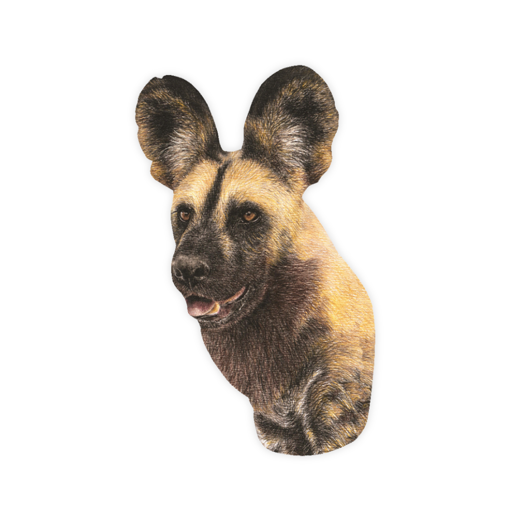 41_654eba82-342c-435e-83aa-eabd369878e4.png