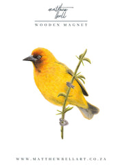 Cape Weaver Magnet - CWV