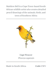 Cape Weaver Magnet - CWV