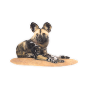 African Wild Dog Magnet - WD5