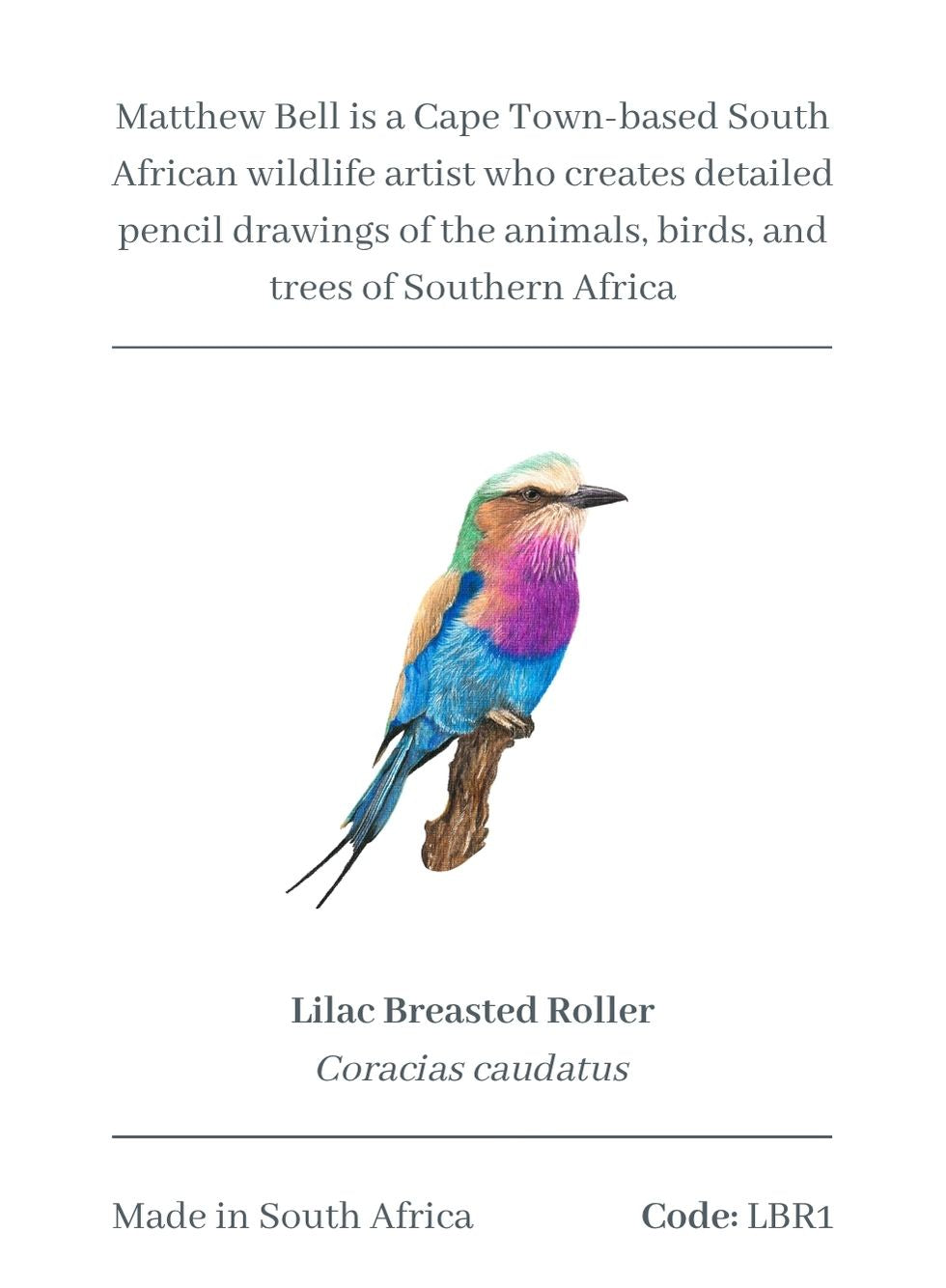 Lilac Breasted Roller Magnet - LBR1
