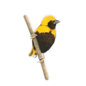 Yellow Crowned Bishop Magnet - YCB