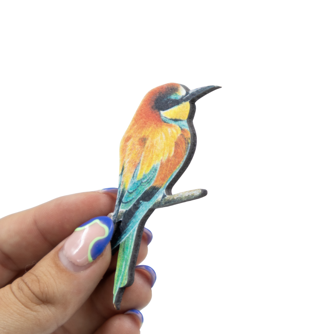 European Bee Eater Magnet - EBE1