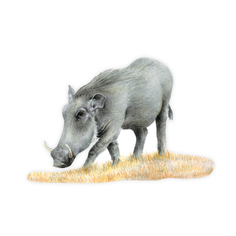 44_5b3fa40c-5100-49e1-97be-c32b1e2f081d.png