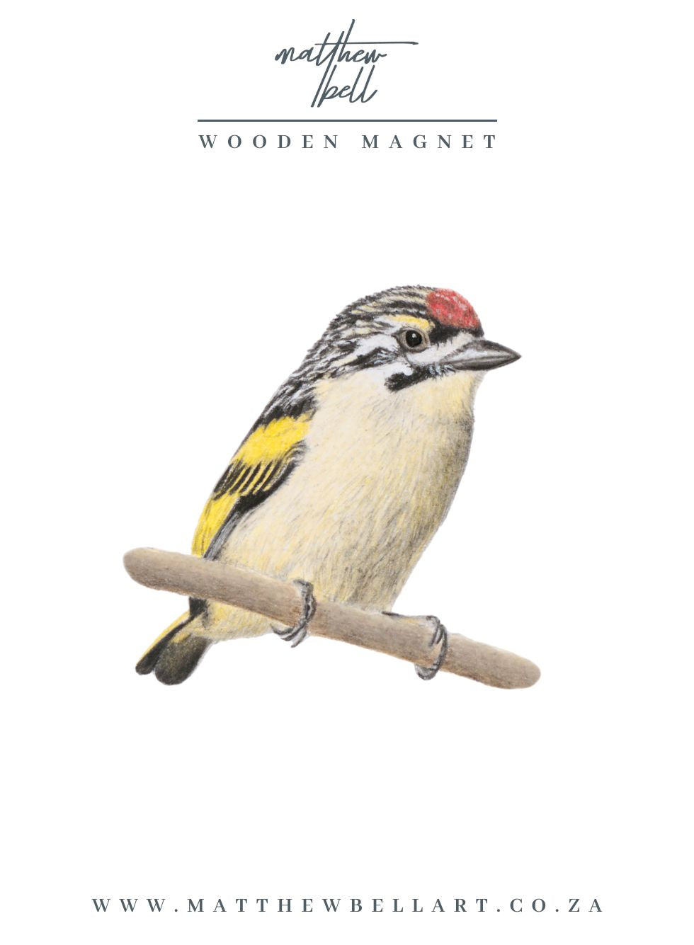 Red Fronted Tinkerbird Magnet - RFT