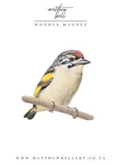 Red Fronted Tinkerbird Magnet - RFT