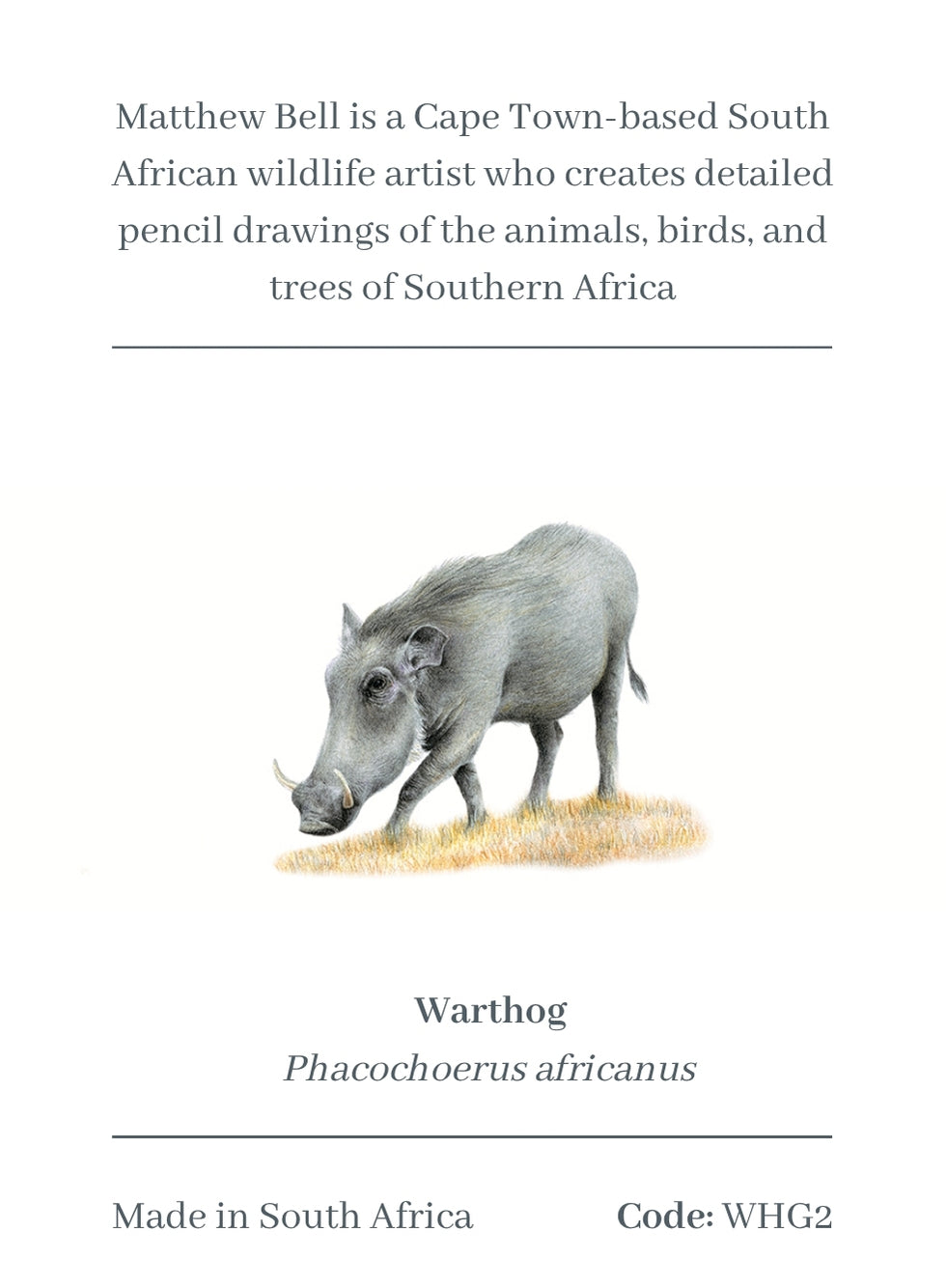 Warthog Magnet - WHG2