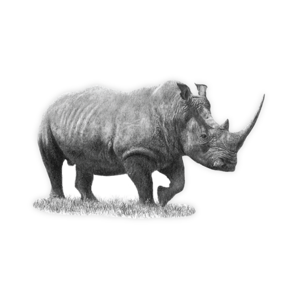 45_387f4e60-354d-4283-a04d-d4af046c50b6.png