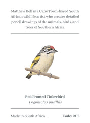 Red Fronted Tinkerbird Magnet - RFT
