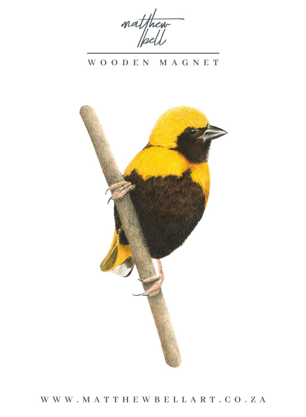 Yellow Crowned Bishop Magnet - YCB