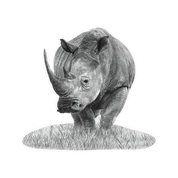 White Rhino Magnet - WR3
