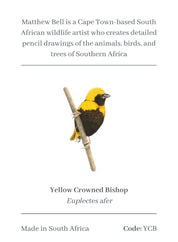 Yellow Crowned Bishop Magnet - YCB