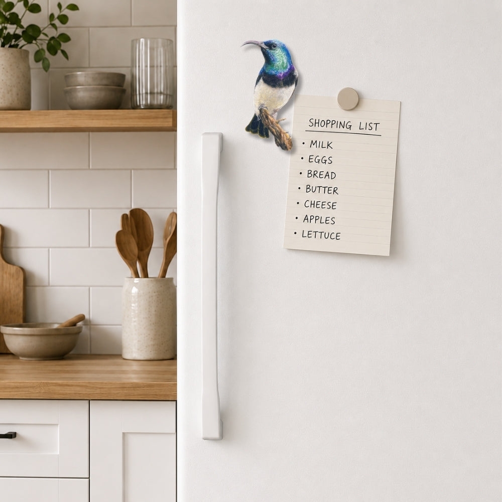 White-bellied Sunbird fridge magnet displaying original South African bird artwork by Matthew Bell