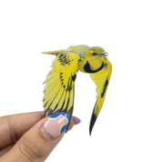 Golden Pipit Magnet- GPT