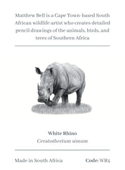 White Rhino Magnet - WR4