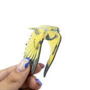 Golden Pipit Magnet- GPT