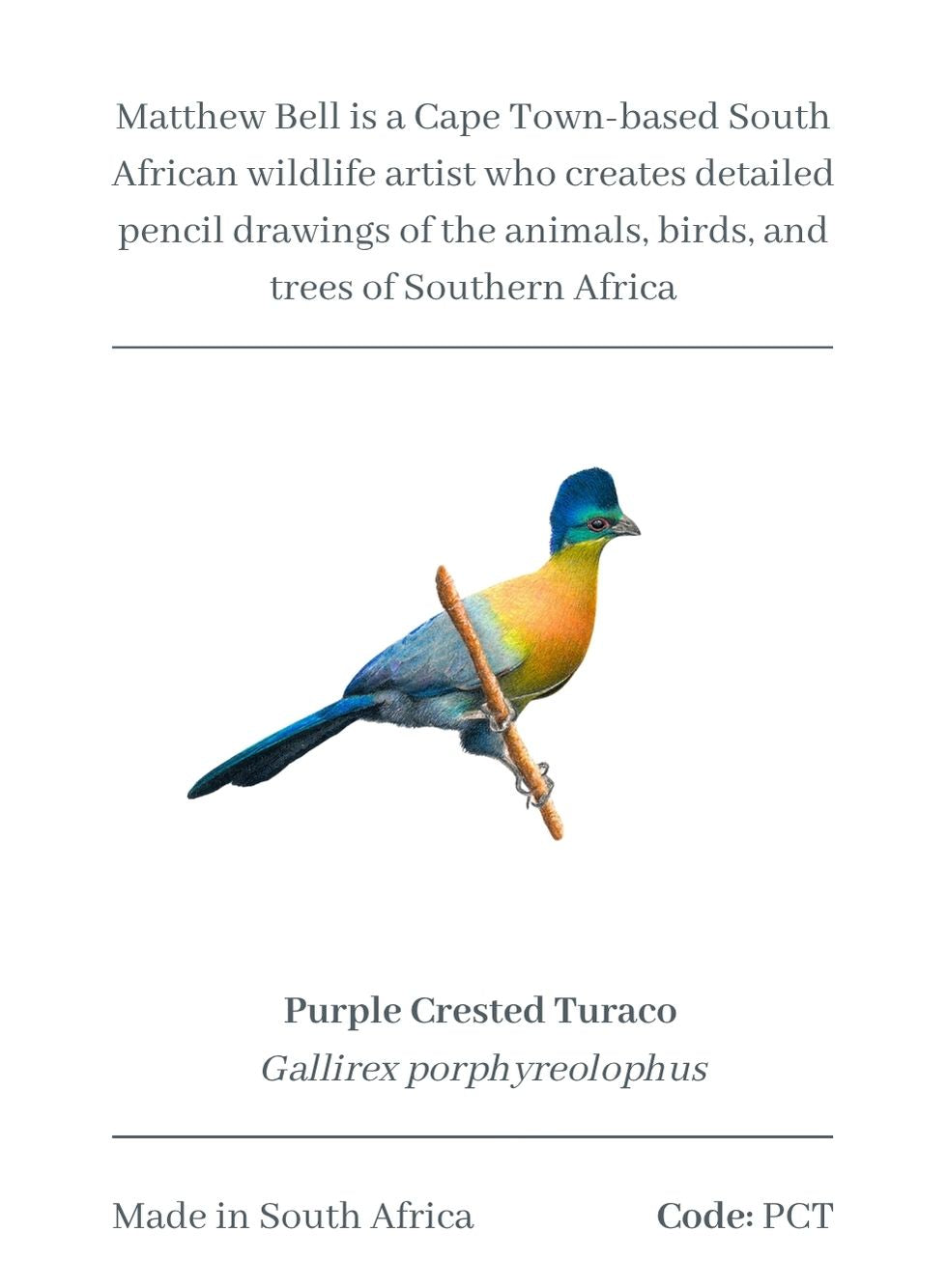 Purple Crested Turaco Magnet - PCT