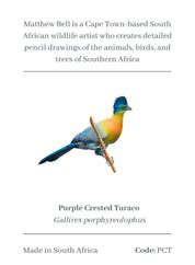Purple Crested Turaco Magnet - PCT