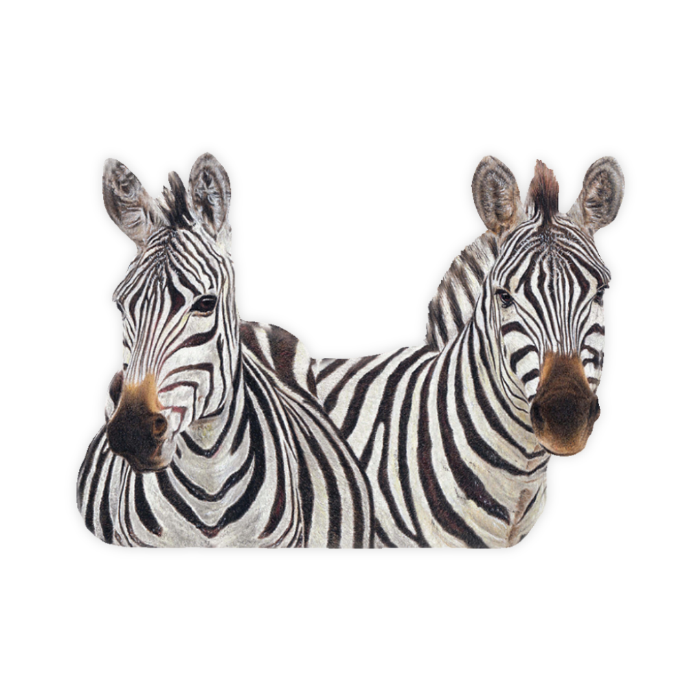 48_fd077455-11f2-4341-adac-333f5d095abc.png