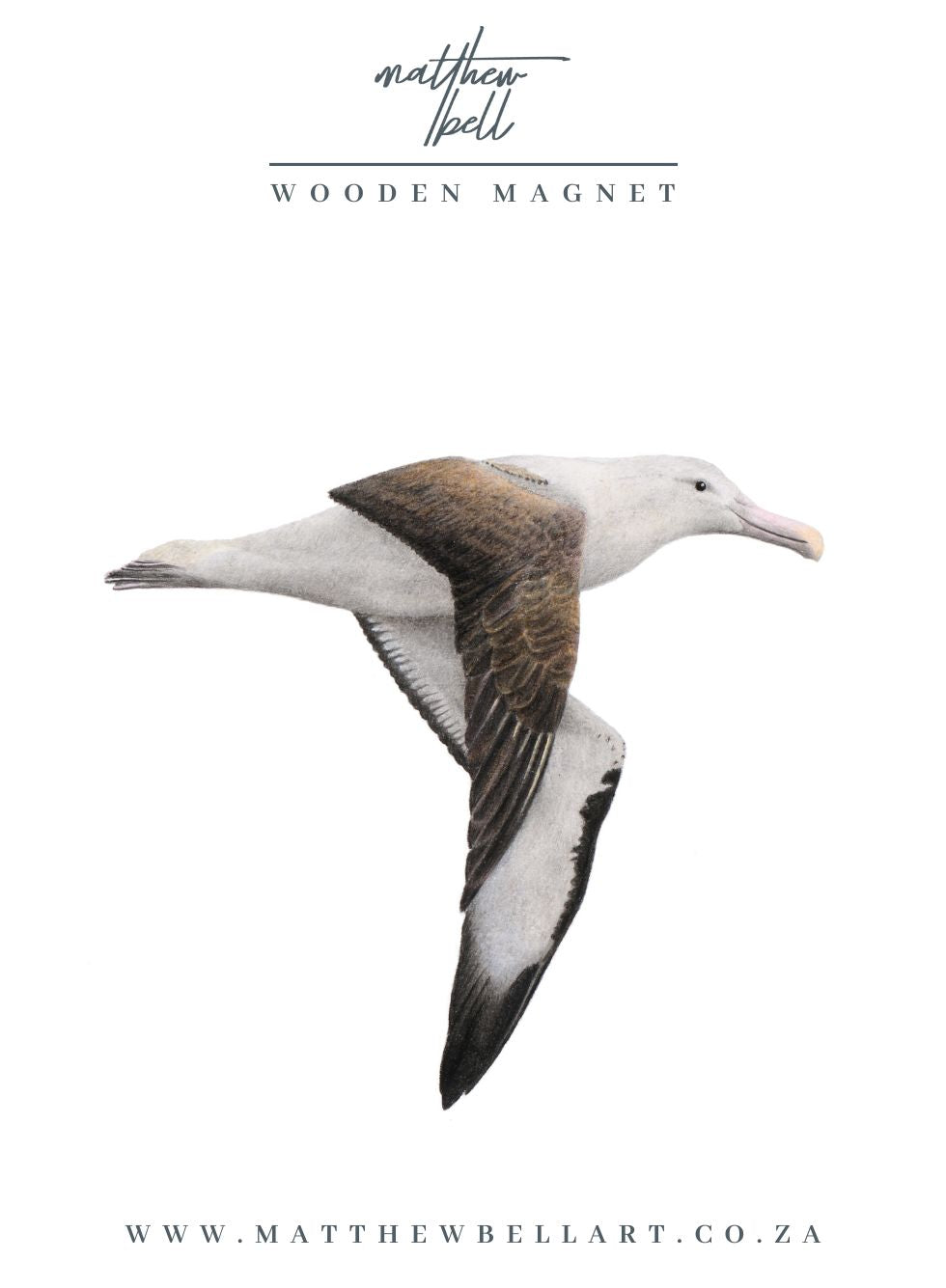 Northern Royal Albatross Magnet - NRA