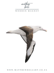 Northern Royal Albatross Magnet - NRA