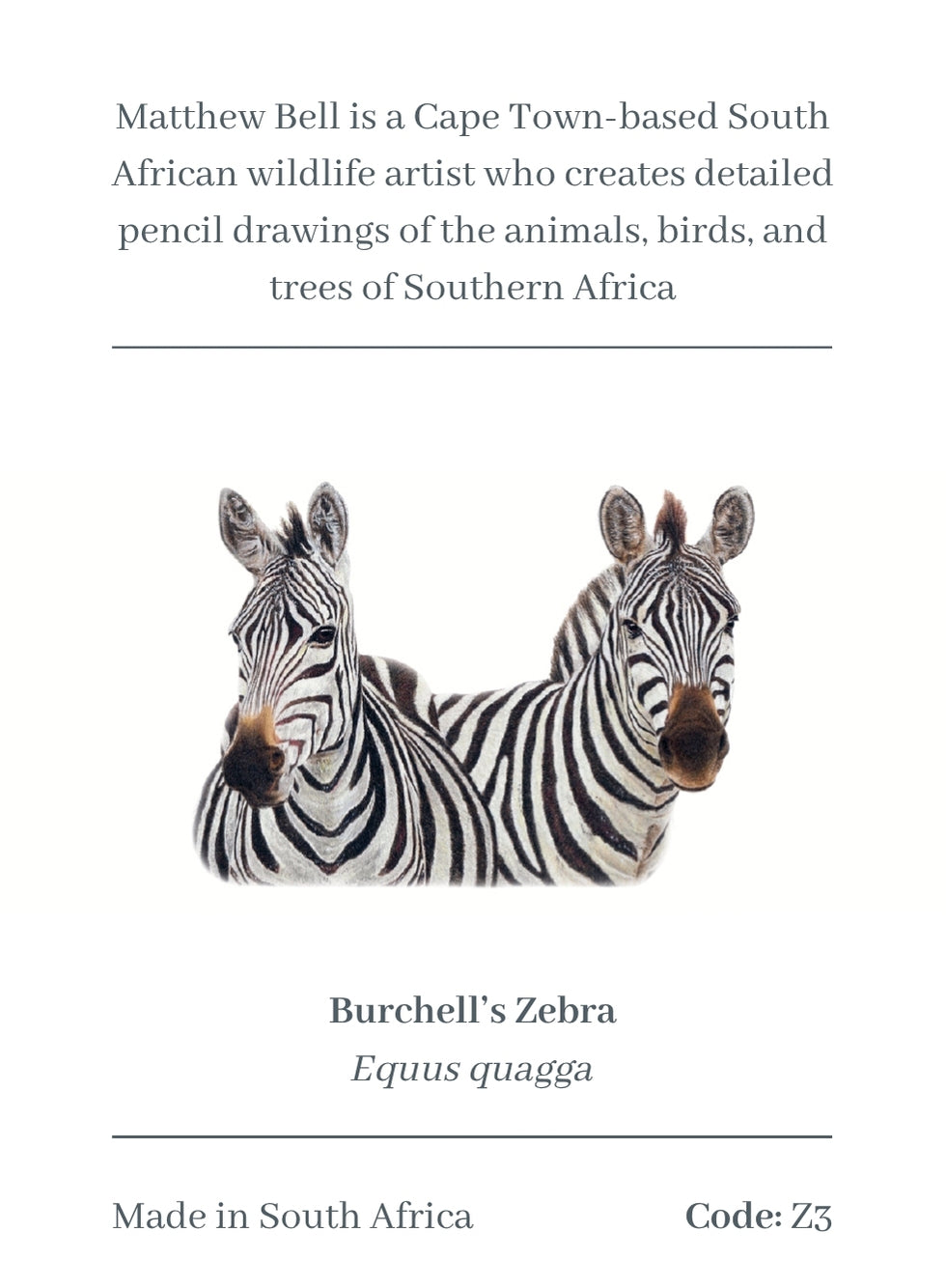 Zebra Magnet - Z3