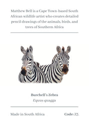 Zebra Magnet - Z3