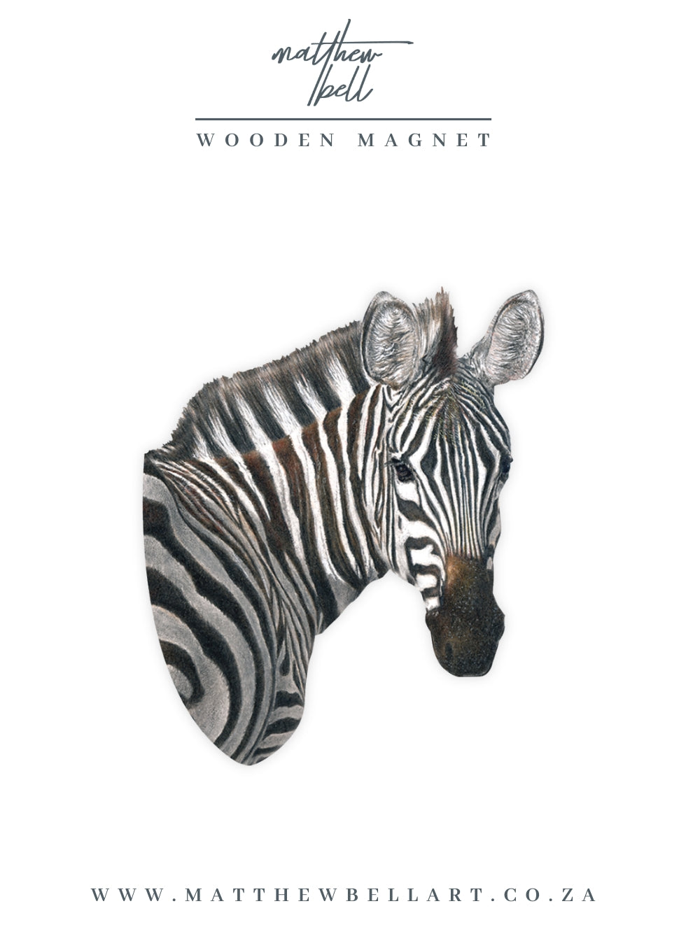 Zebra Magnet - Z5