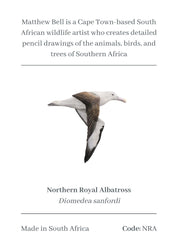 Northern Royal Albatross Magnet - NRA