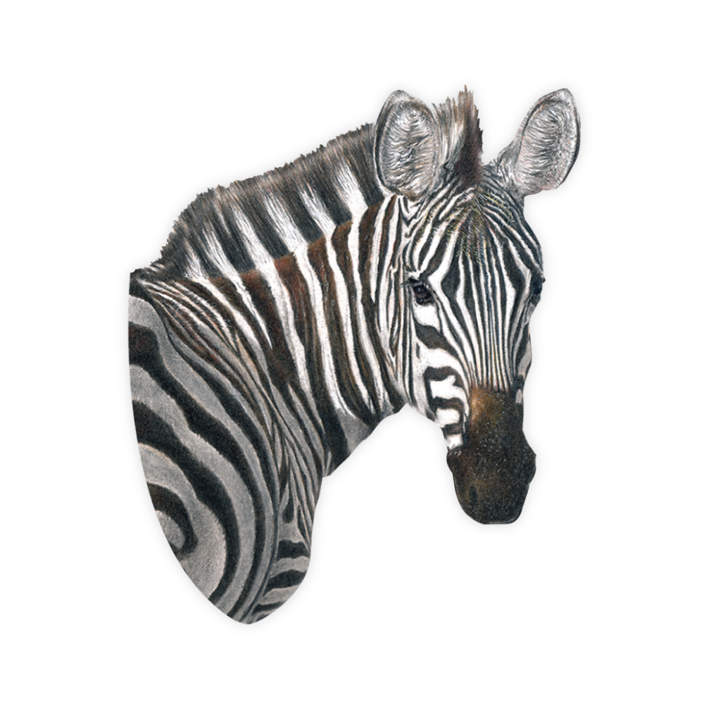 49_bf9add49-a67f-4532-a8fe-c5e36e610a80.png