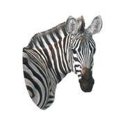 Zebra Magnet - Z5