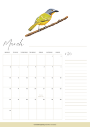 2025 premium quality South African birds hanging wall calendar showing wildlife artwork by artist Matthew Bell including Red Billed Hornbill, Lesser Striped Swallow, Saddle Billed Stork, Crowned Lapwing, Violet Backed Starling, Grey Headed Bush Shrike, African Pitta, Marico Sunbird, Blue Cheeked Bee Eater, African Pygmy Kingfisher, Cape Weaver, Wood Owl